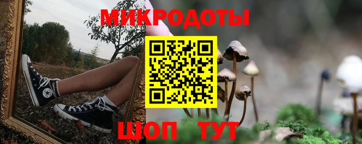 Галлюциногенные грибы мицелий  Вход с VPN  наркотики  Канаш 